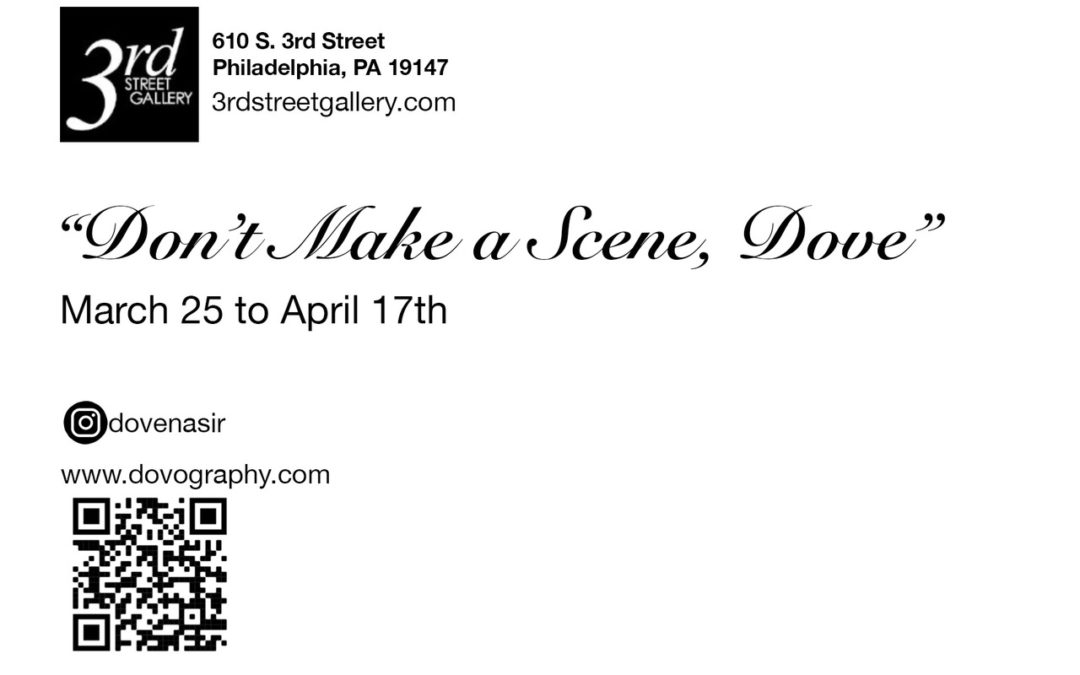 Dove Nasir, “Don’t Make a Scene, Dove” — 3rd Street Gallery