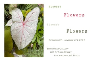Constance Cone’s “Flowers…Flowers…Flowers…Flowers” — 3rd Street Gallery